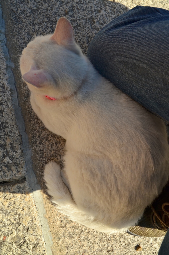 信頼
