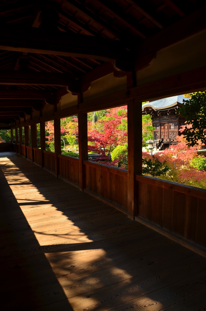 清涼寺回廊・錦秋２