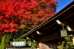 嵐山界隈の紅葉
