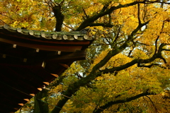 西院春日神社の紅葉