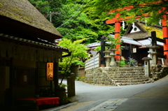 愛宕神社一之鳥居を望む