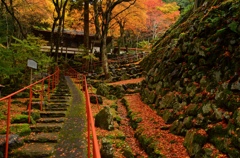 晩秋の古知谷阿弥陀寺１