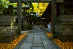 白雲神社の紅葉２