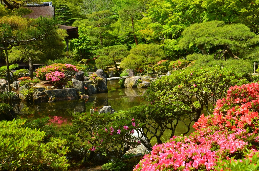 慈照寺・東求堂