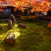 建仁寺・潮音庭の初冬３