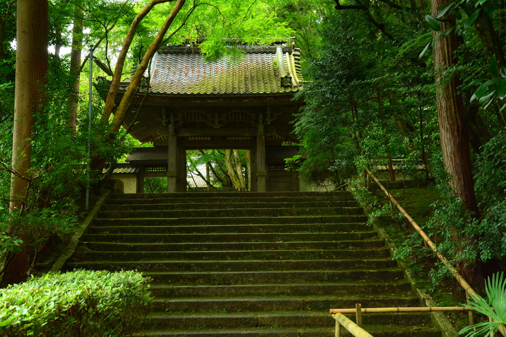 龍潭寺・山門