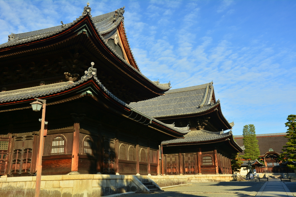 妙心寺の大伽藍と初冬の空