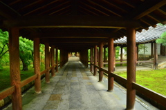 東福寺・通天橋８