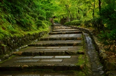 化野念仏寺参道