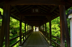 東福寺・偃月橋