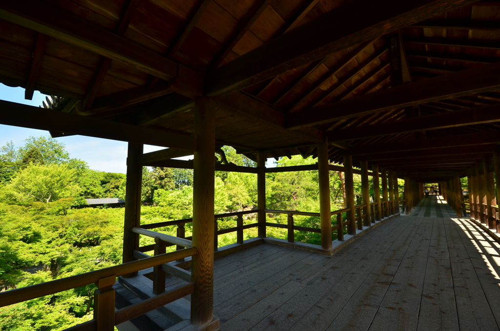 東福寺・通天橋９