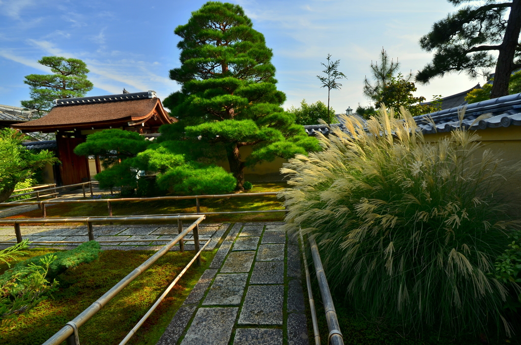 大徳寺瑞峯院・秋