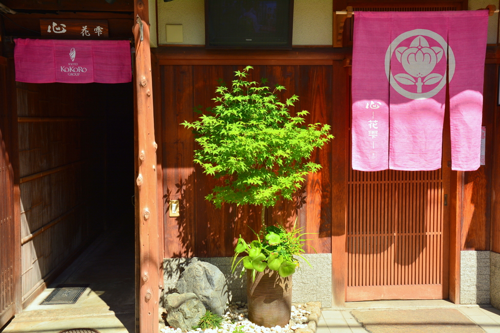 宮川町・心 花雫 ２