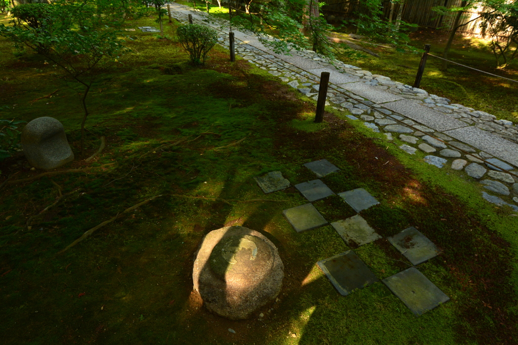 鹿王院参道・初秋２