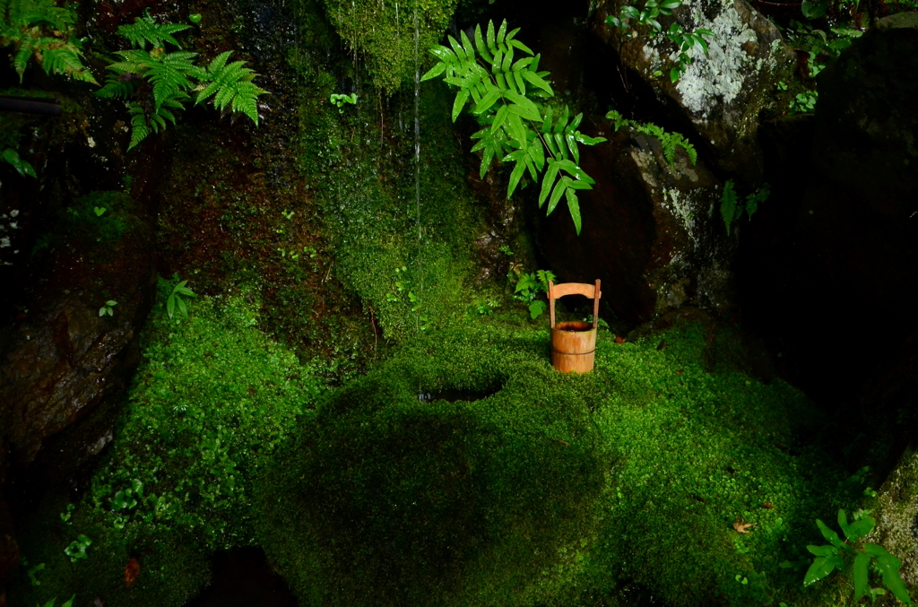蹲の小滝