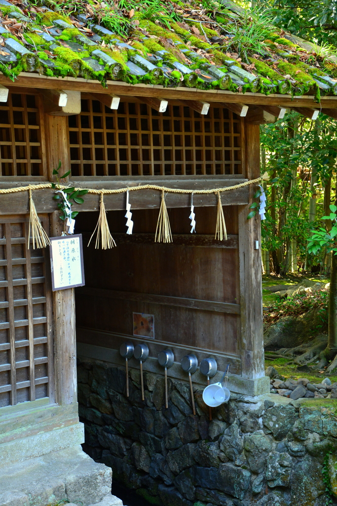 宇治上神社・桐原水