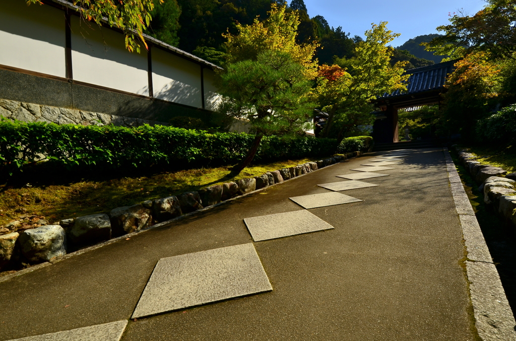 最勝院高徳庵・参道