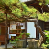 下御靈神社の松