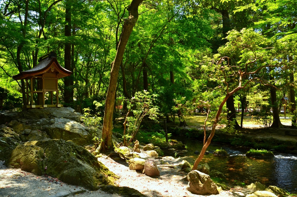 ならの小川２