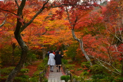 宝筐院の紅葉２