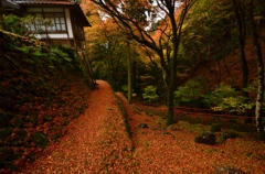 晩秋の古知谷阿弥陀寺２