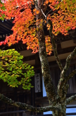 神護寺・毘沙門堂２