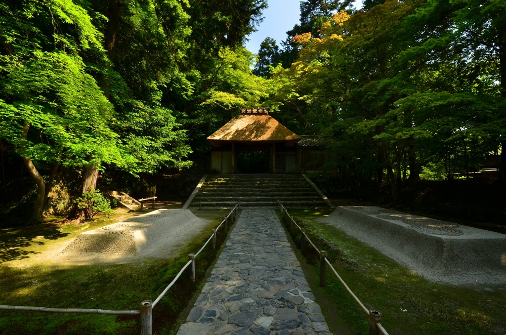 法然院山門２