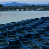 渡月橋に夕闇せまる