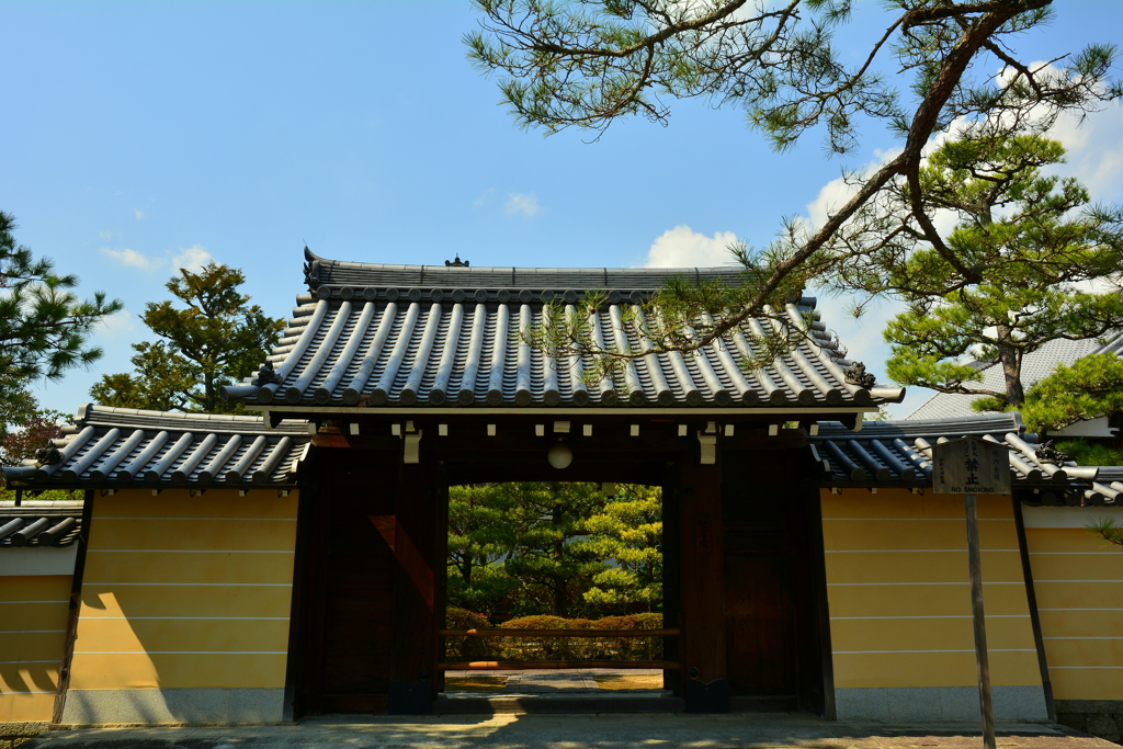 妙心寺聖澤院・山門