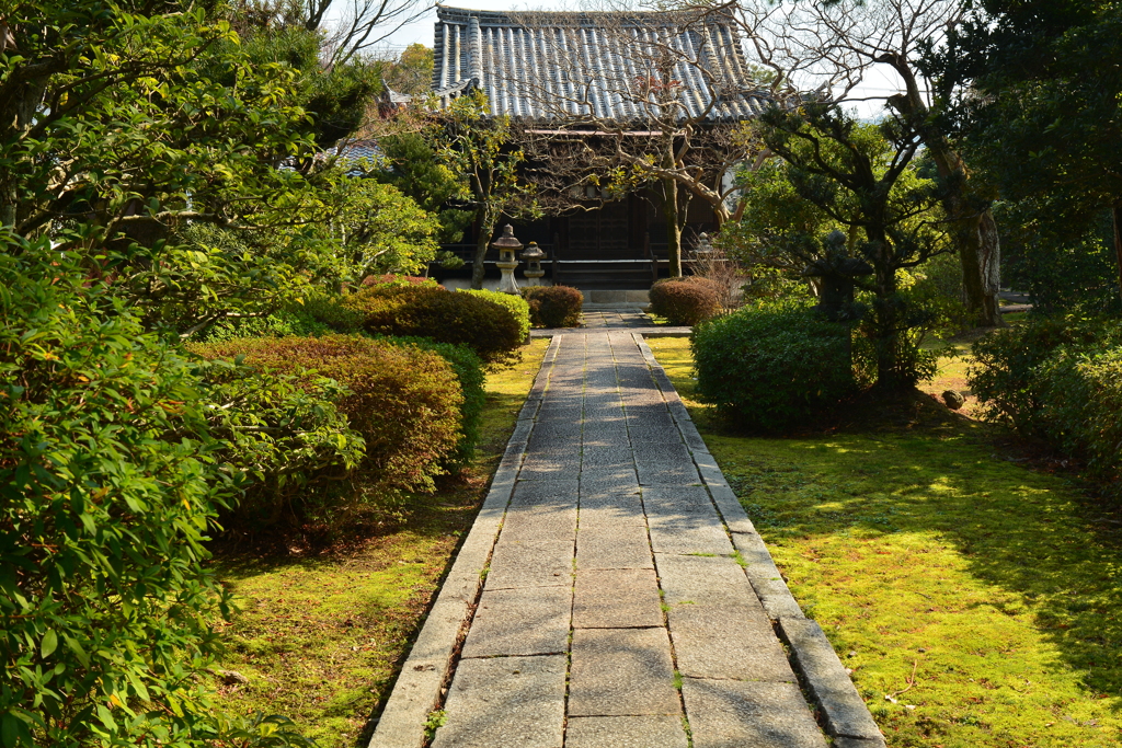 養源院・庭園