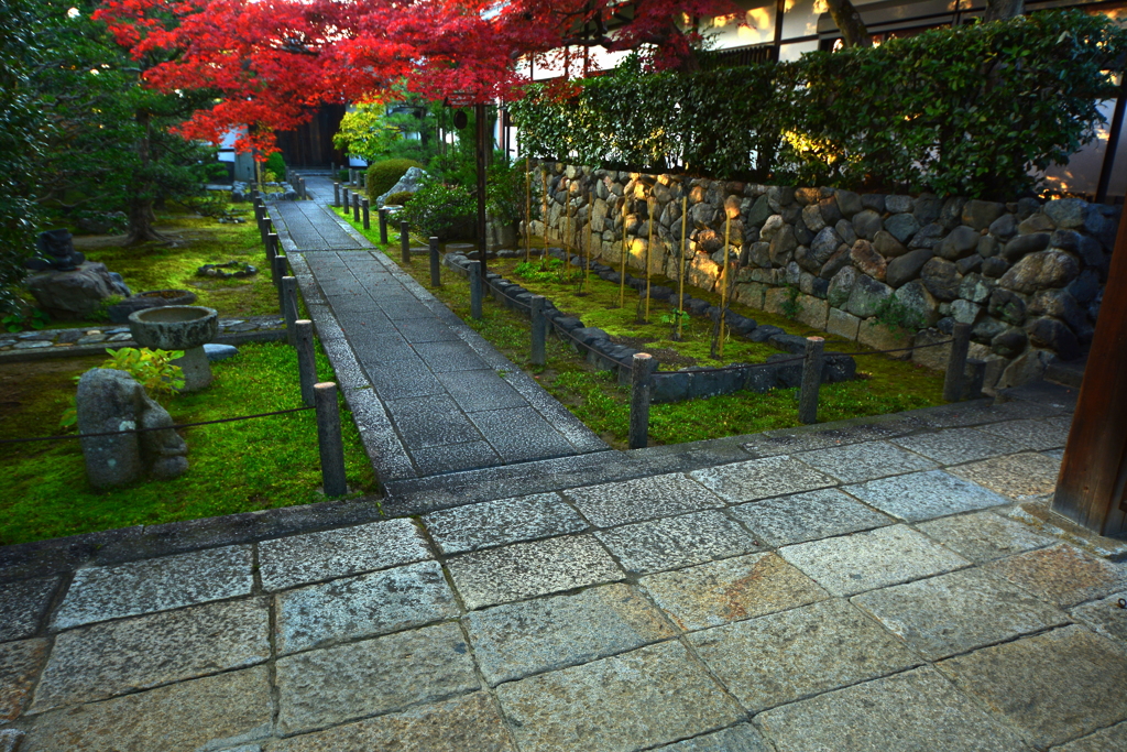 妙心寺天球院の紅葉