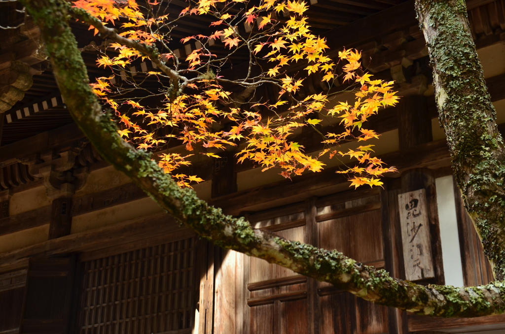 神護寺・毘沙門堂３