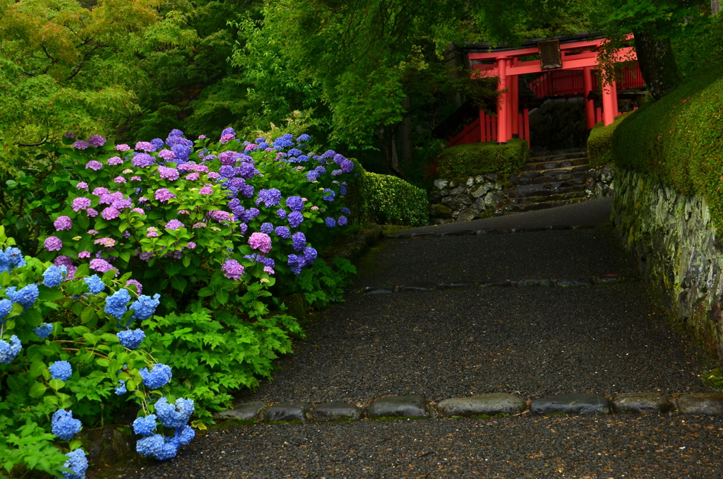 善峯寺・稲荷社