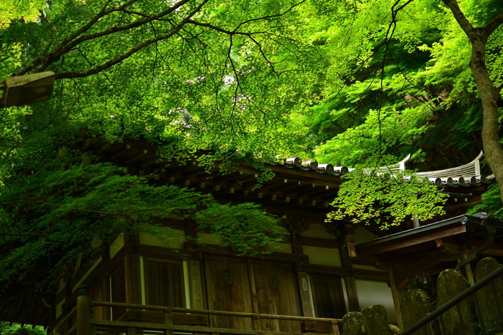 愛宕念仏寺・地蔵堂３