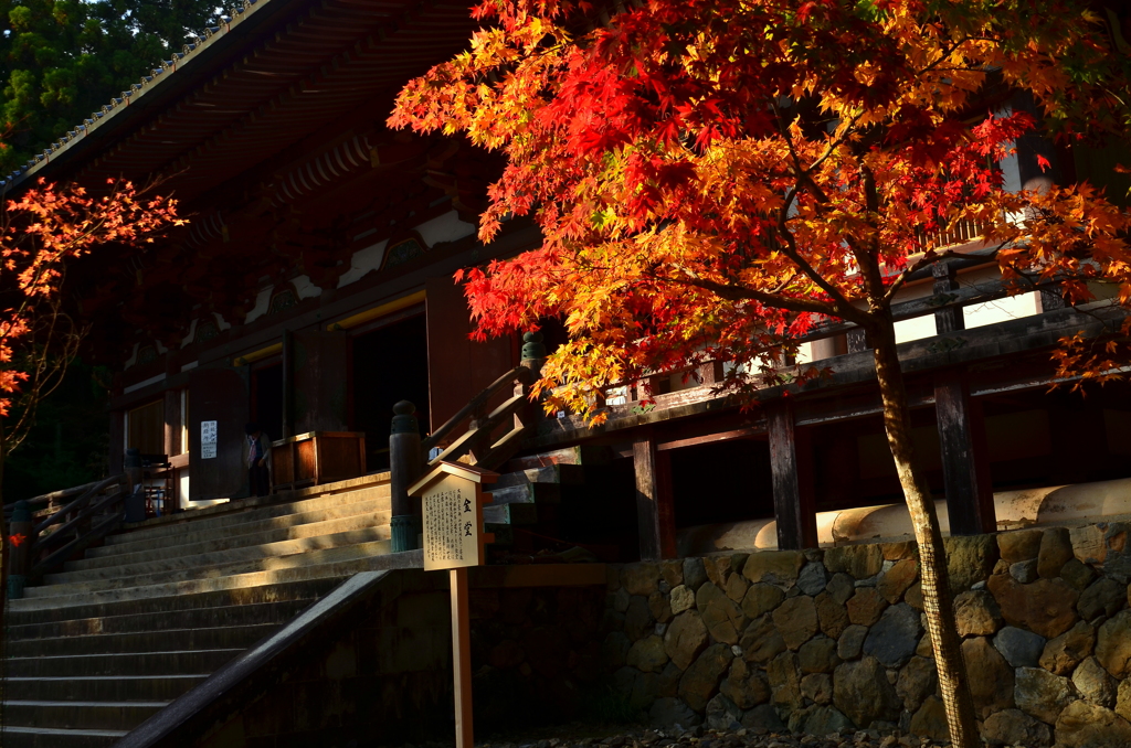 神護寺・金堂２