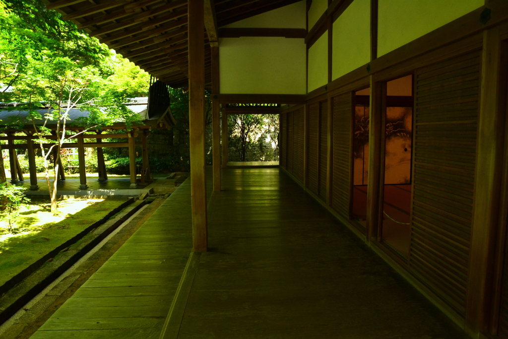 龍安寺方丈廊下の床もみじ