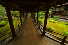 大覚寺・村雨の廊下１