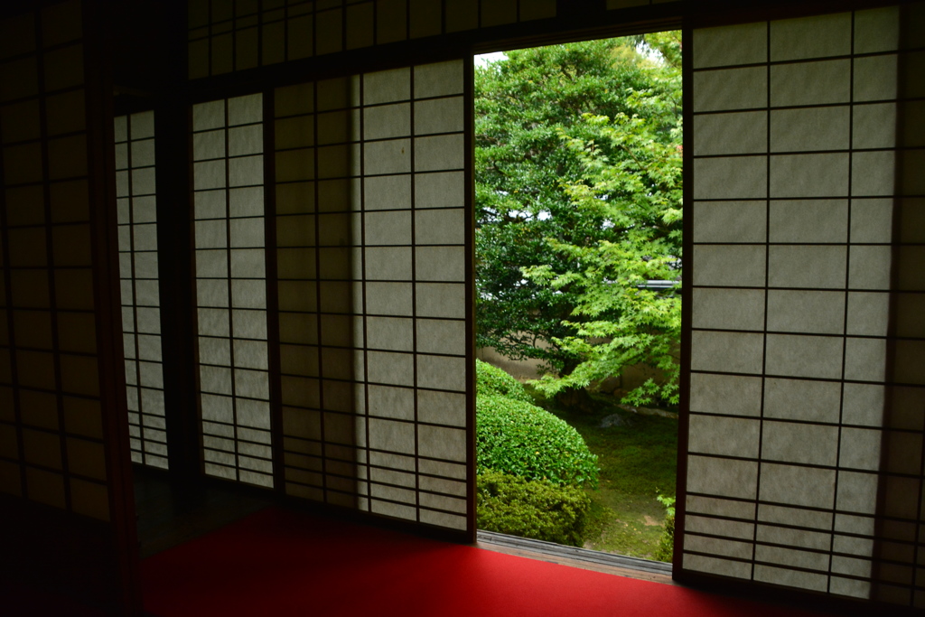 雲龍院庭園を望む２