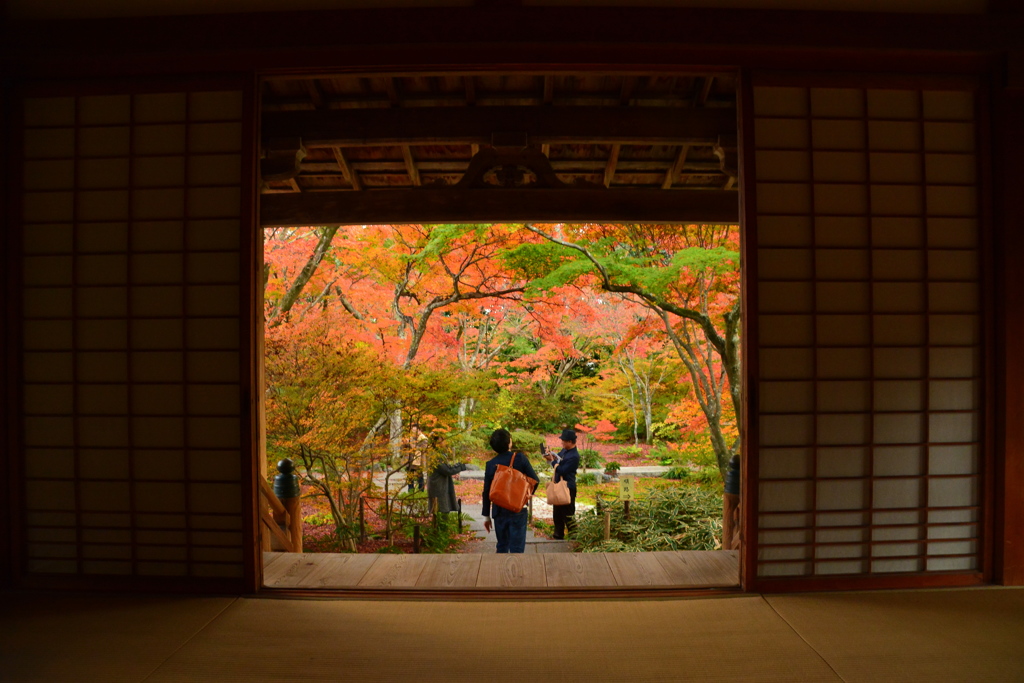 宝筐院の紅葉４
