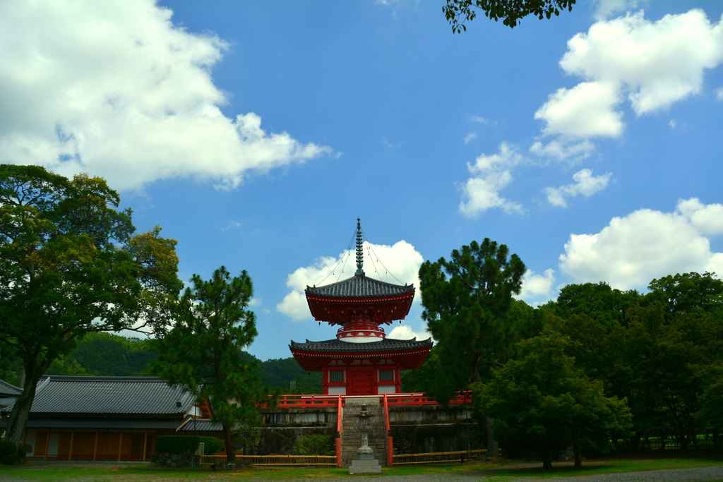 大覚寺・心経宝塔の夏