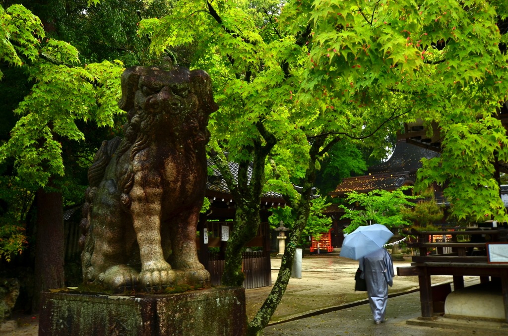 雨にうたれて