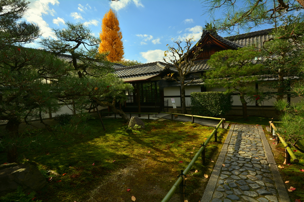 建仁寺禅居庵裏