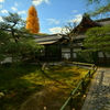 建仁寺禅居庵裏