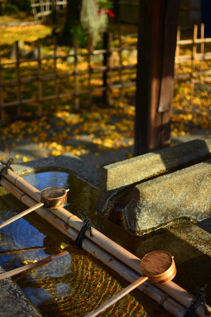 清涼寺手水舎の紅葉