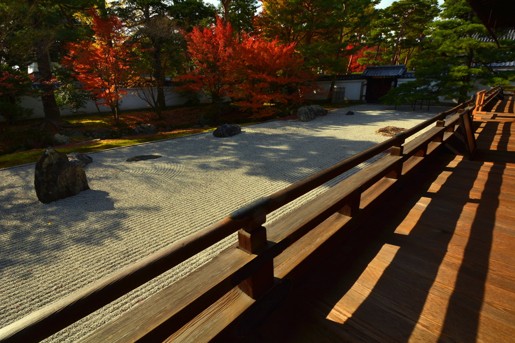 相国寺開山堂の紅葉２