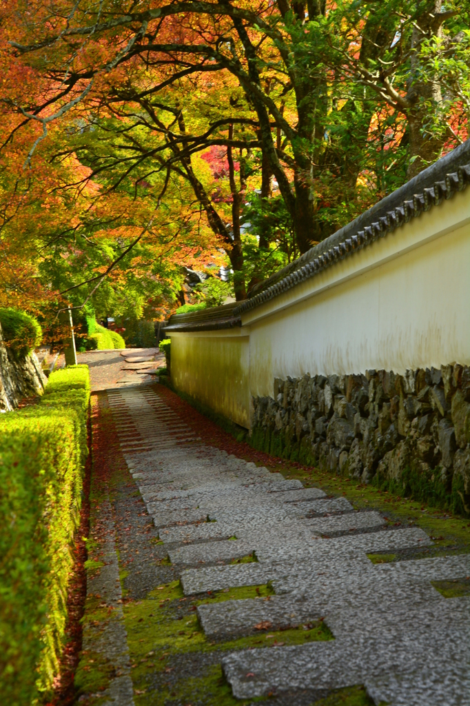 善峯寺・阿弥陀堂参道１