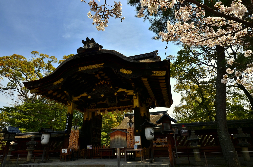 豊国神社・唐門２