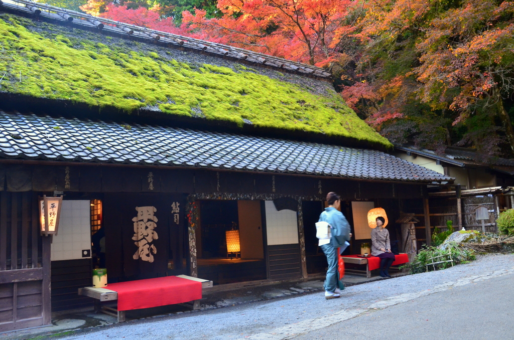 鮎司 平野屋８