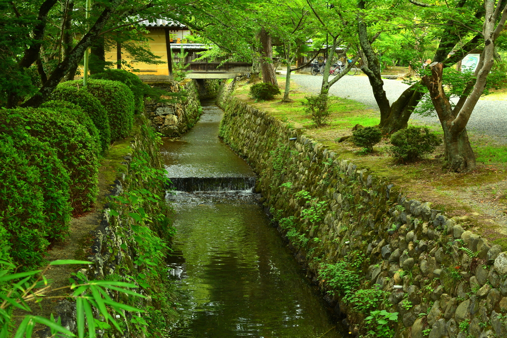 大覚寺の水路３ by ginkosan （ID：7017262） - 写真共有サイト:PHOTOHITO