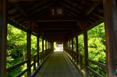 東福寺・偃月橋３